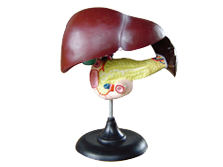SD-093 33216ʮ֬cKģ